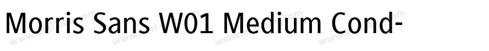 Morris Sans W01 Medium Cond字体转换